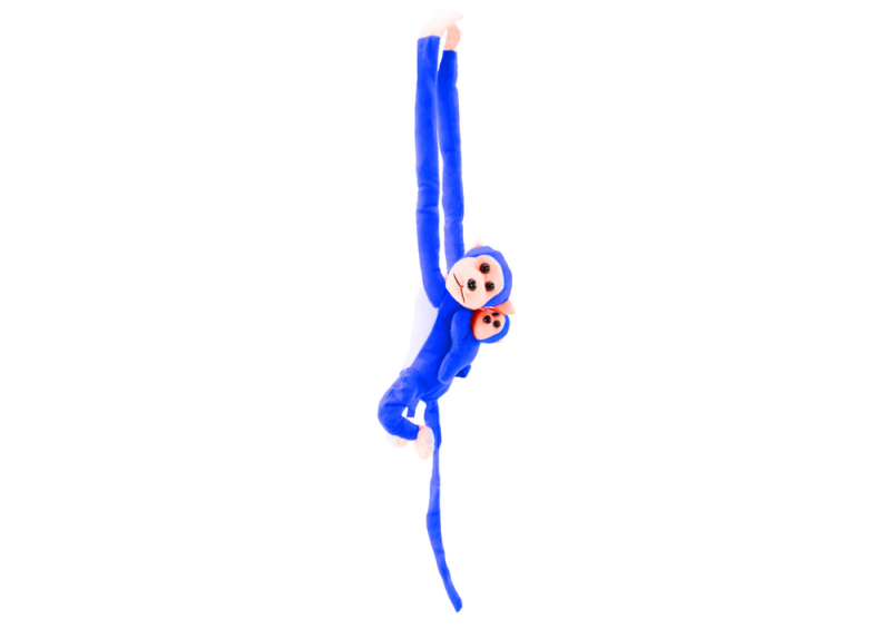 43e36c1ad51231fd11e9cb706b7747dc