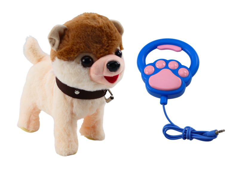 be2922c90f65266a7ac81dda999f8a34