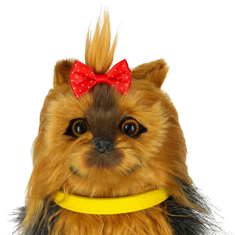 ac49393aa05d8187eae169d18ba4de8e