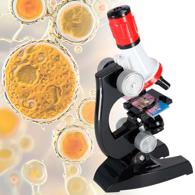 0d65c6624dec74363974dcdb2fb6482d