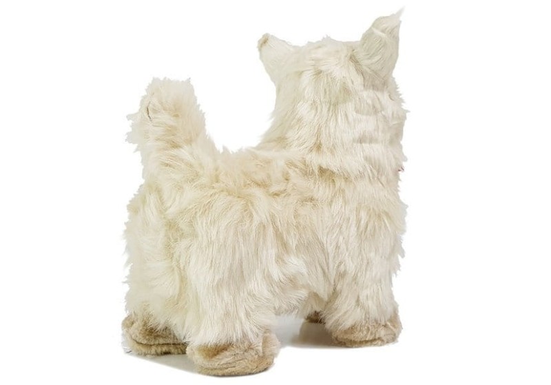 26e43aea97479b4da6feafe731ed2658